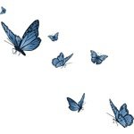 butterfly blue