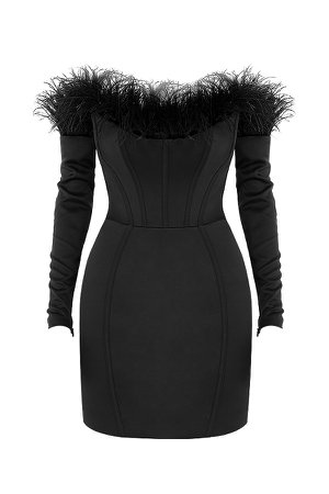 Clothing : Mini Dresses : 'Adriana' Black Strapless Feather Corset Dress
