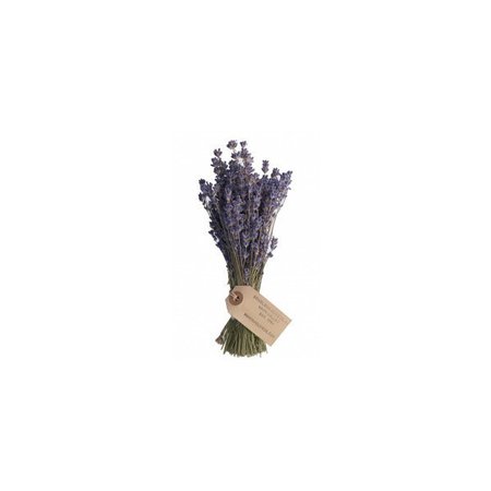 bundle of lavender