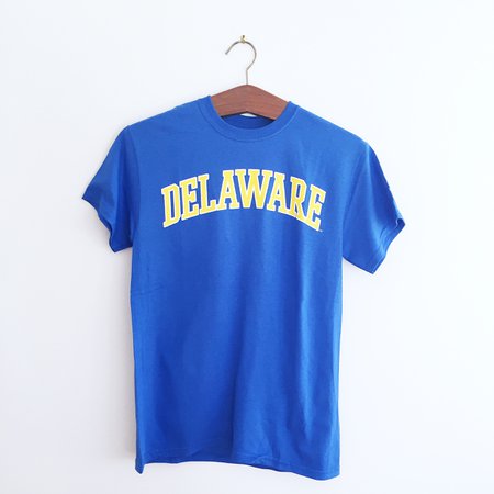 Blue Delaware T-shirt