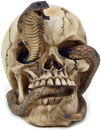 Skeleton Cobra Snake Habitat Skull Figurine Statue Sculpture Halloween: Amazon.ca: Home & Kitchen
