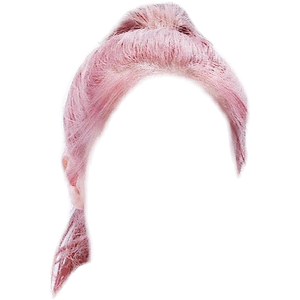 Pink Hair PNG Ponytail