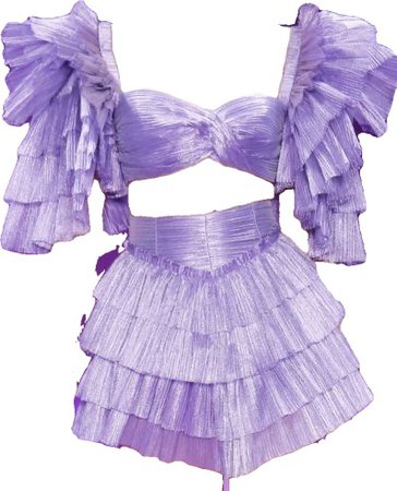 purple top and skirt