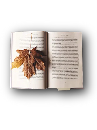 books book aesthetic  reading cozy autumn fall