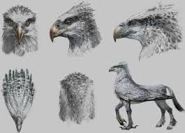 knitted hippogriff - Google Search