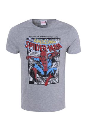 Marvel The Amazing Spiderman Comic T-Shirt | Boohoo