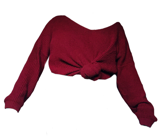 rebbie_irl’s red v neck sweater