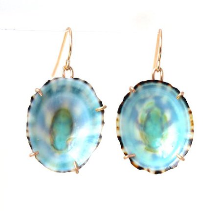 Green Limpit Shell Earrings – Alana Douvros Jewelry