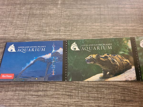 aquarium animals
