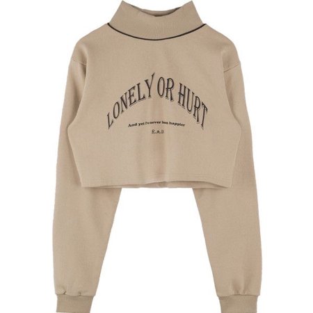 LONELY OR HURT High Neck Cropped Sweatshirt ($40)