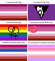 lesbian pride flag - Google Search