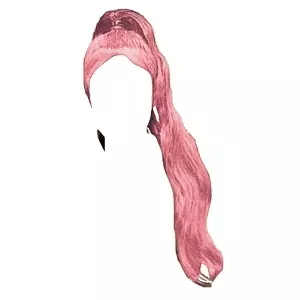 Pink High Ponytail (HVST edit)