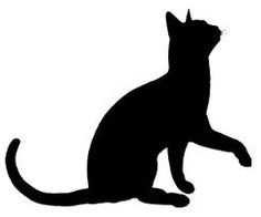 black cat 1