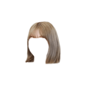 Short Brown/Blonde Hair PNG
