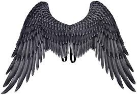 fallen angel wings costume