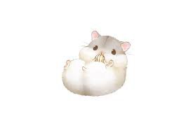 anime hamster - Pesquisa Google