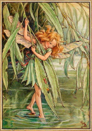 willow fairy