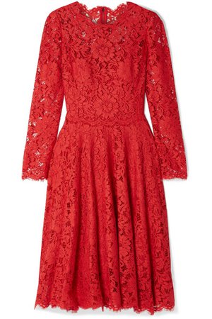 Dolce & Gabbana | Kleid aus schnurgebundener Spitze | NET-A-PORTER.COM