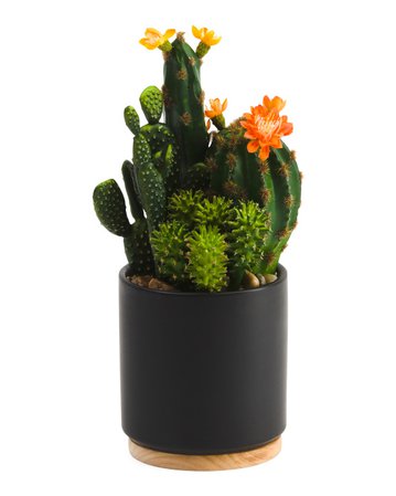 11.5in Cactus In Pot - Living Room - T.J.Maxx