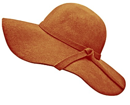 Brown 70’s Hat