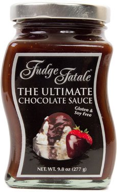 dark chocolate fudge sauce brand - Google Search