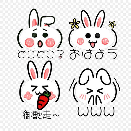 bunny 🐰 🐇