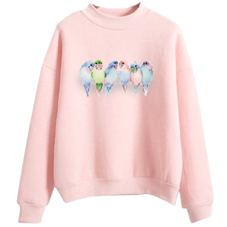 pink sweatshirt with pastel birds