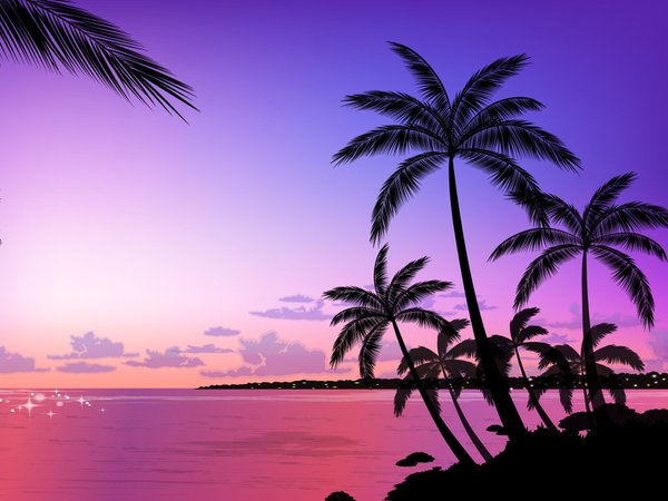 Palm Tree Wallpapers 4 - 1600 X 1200 | stmed.net
