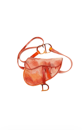 Dior Orange Print Mini Saddle 2way Bag (treasuresofnyc)