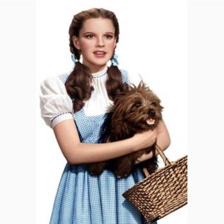 Dorothy pic
