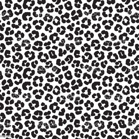black and white background leopard - Google Search
