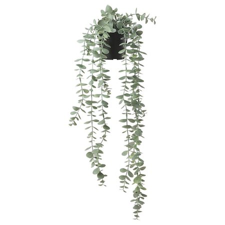 FEJKA Artificial potted plant, in/outdoor hanging, eucalyptus, 9 cm - IKEA