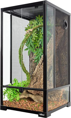 Amazon.com : OIIBO 2 in 1 Reptile Tall Glass Terrarium, 16x16x30 Inch Rainforest Reptile Habitat Tank with Double Hinge Door & Screen Ventilation 30 Gallon Reptile Terrarium Easy Assembly : Pet Supplies
