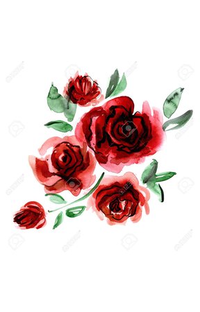 Red Watercolor Roses