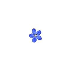 polyvore flower filler blue