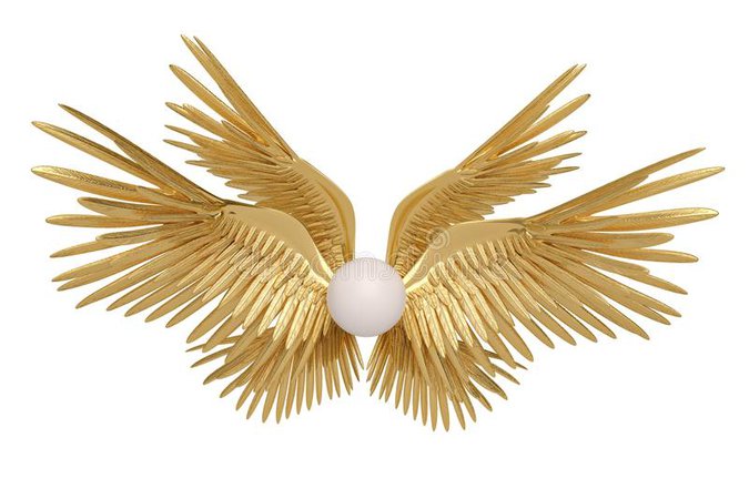 gold wings - Google Search