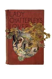 lady chatterley's lover book - Google Search