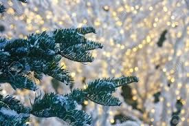 Christmas tree led lights