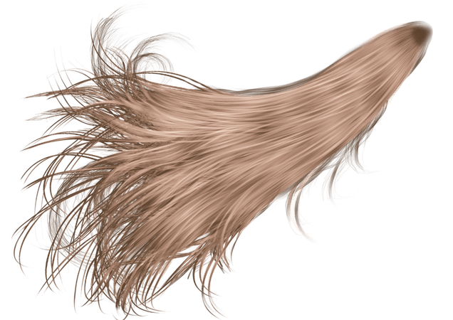 fly hair wig png - Google Search