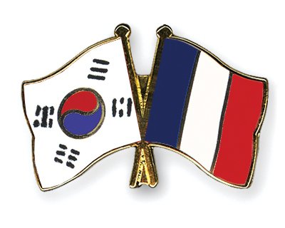 French & Korean Pins