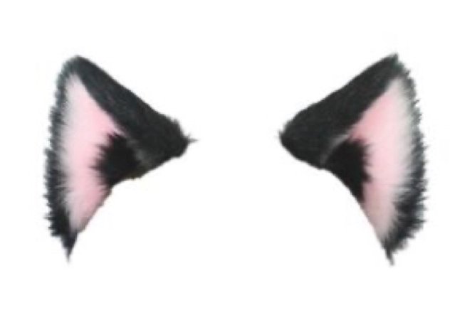 black cat ears