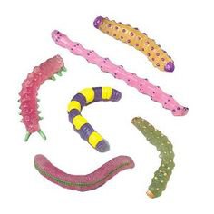 Caterpillar stretchy toys