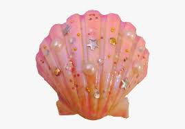 coral shell png - Google Search