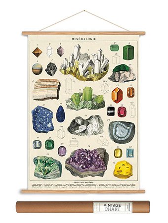 Cavallini Papers Vintage Style Decorative Poster & Hanger Kit 20 x 28, 20" x 28": Amazon.ca: Home & Kitchen