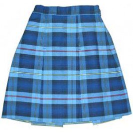 Aquaberry Skirt