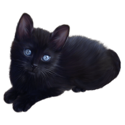 Black Cat Sitting transparent PNG - StickPNG