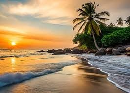 sunset tropical beach - Google Search