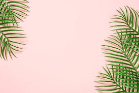 tropical background - Google Search