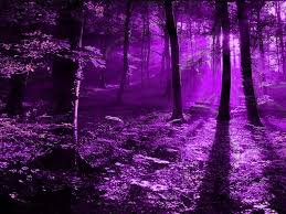 purple witch theme background - Google Search