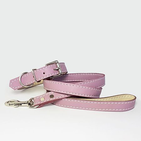 Leather dog collars, handmade | The Stylish Dog Company